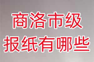 商洛市級報紙有哪些