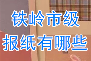 鐵嶺市級報紙有哪些